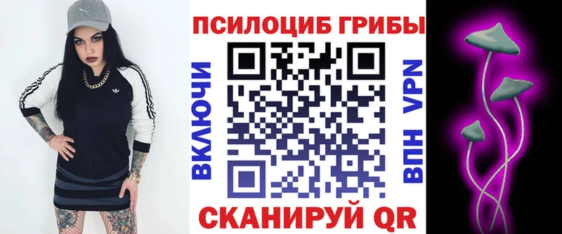 Купить где  Истра  Псилоцибиновые грибы MAGIC MUSHROOMS 