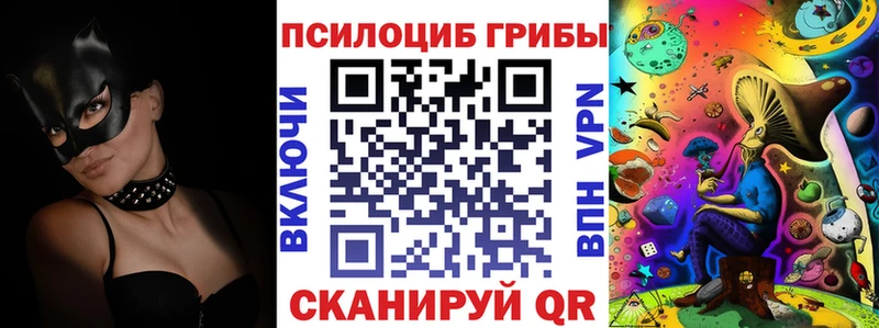 Галлюциногенные грибы Psilocybine cubensis Истра